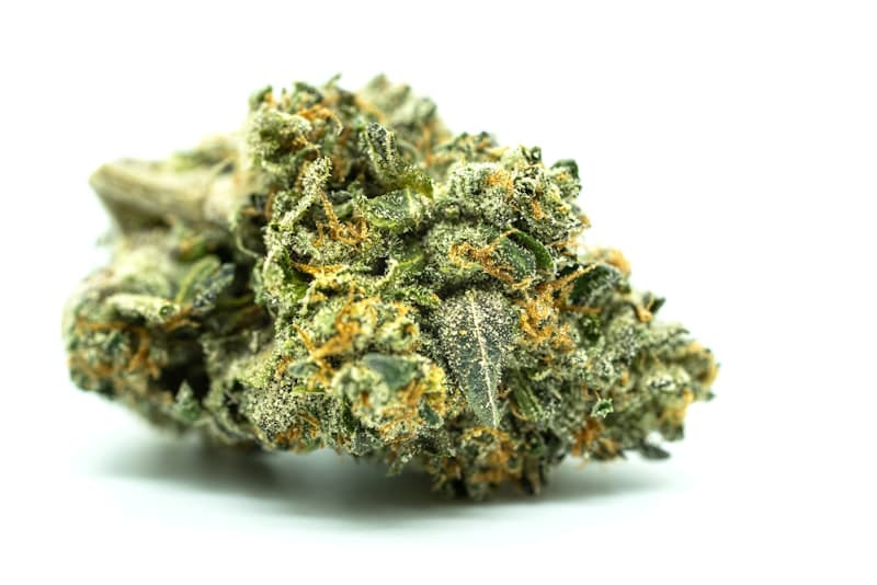 Cannabis Tour transportation planning in Las Vegas